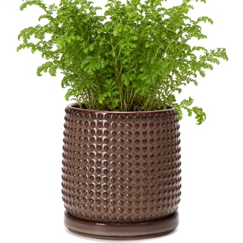 Beaded Ceramic Pot with Saucer (5.8 Inch / Stone Taupe)