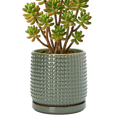 Beaded Ceramic Pot with Saucer (5.8 Inch / Olive)