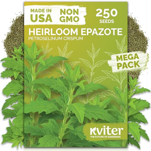 250 Epazote Heirloom Herb Seeds for Planting