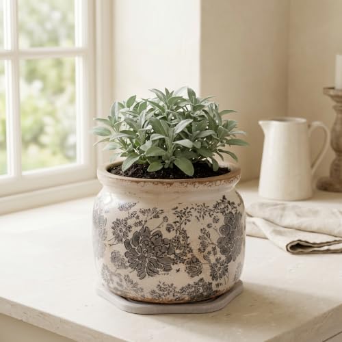 Rustic Ceramic Plant Pot with Decorative Saucer (Gray / 7.7 in - w/ Saucer)