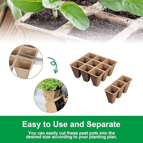 Seedling Starter Trays (5 Count)