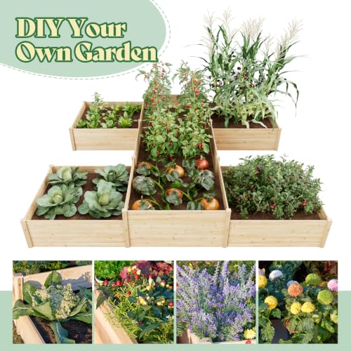 H Shaped Raised Garden Bed (12 x 12 x 2 FT)