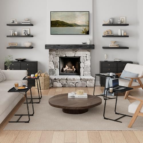 TV Trays Set of 4 (Black)