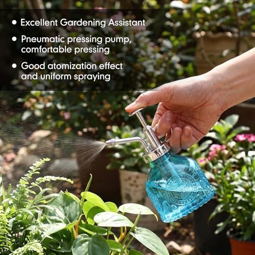8 Pcs Glass Plant Mister Spray Bottle 200ml Vintage Plant Spritzer Multicolor Succulent Watering Bottle Watering Can 6.4'' with Plastic Top Pumps for Indoor Outdoor Garden Plants (Silver)