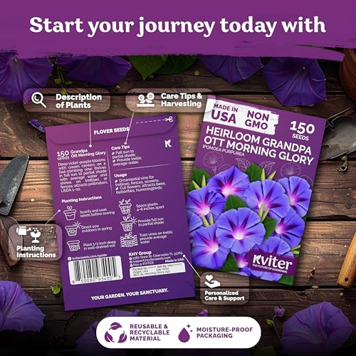 150 Grandpa OTT Morning Glory Heirloom Flower Seeds