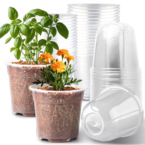 6 Inch Clear Nursery Pots with Humidity Dome (6 Inch Clear Pots With Domes-30p / 6Inch)