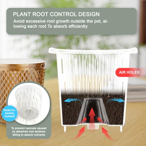 Hanging Planters for Indoor Plants (Gold / 5.7in)