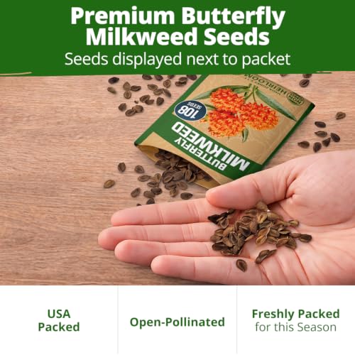 Butterfly Milkweed Seeds for Planting