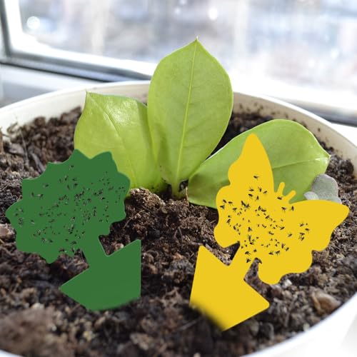 50 Sheets Fruit Fly Sticky Traps for Fruit Fly Gnat Trap for House Indoors Sticky Traps Catcher for Gnats Fungus Gnats Mosquito Catcher Kitchen Outdoor Plants (Yellow, Green / Classic Style)