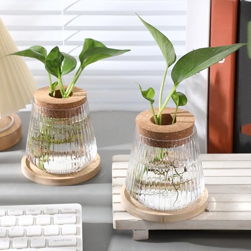 12 Pack Propagation Vases for Plants (Vertical Grain Style)