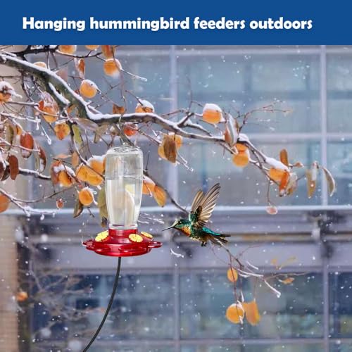 Heated Hummingbird Feeder for Outdoor Winter