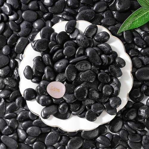 5 LB Black River Rocks (5 Pounds / Black)
