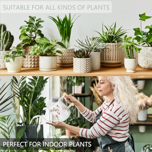 Watering Can Indoor Plants (White 1)