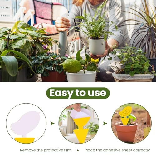 200 Sheets Fruit Fly Sticky Traps for Fruit Fly Gnat Trap for House Indoors Sticky Traps Catcher for Gnats Fungus Gnats Mosquito Catcher for Kitchen Outdoor Plants (Yellow, Green / Cute Style)