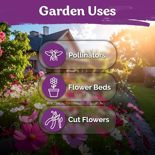 3 000 Mix Sensation Cosmos Heirloom Flower Seeds