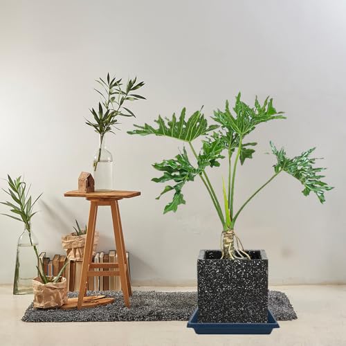 Square Plant Saucer 10 Inch 4 Pack (10"(4Pack) / Blue)