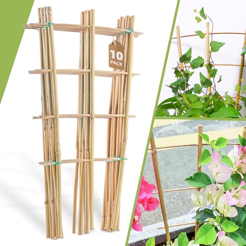 10 Pack 16" Bamboo Trellis for Climbing Plants