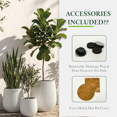 Signature Mount Wilson Modern Indoor Outdoor Fiberstone Tapered Planter (Ribbed White / 11'' D x 12'' H)
