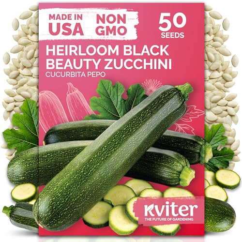 50 Black Beauty Zucchini Heirloom Vegetable Seeds