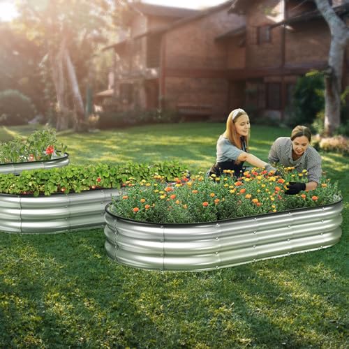 Raised Garden Bed Kit (Silver / 6×3×1 ft)