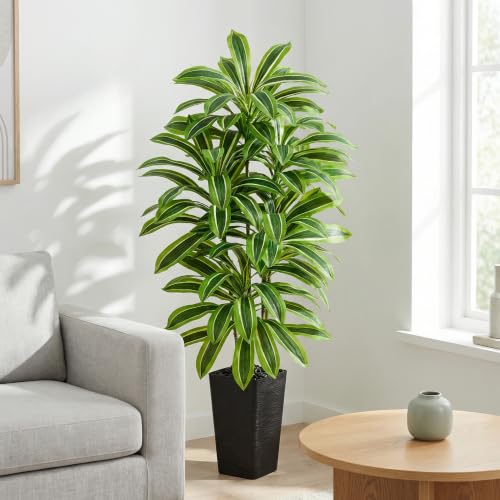 Artificial Dracaena Tree (Light Green – Black Pot / 6FT)