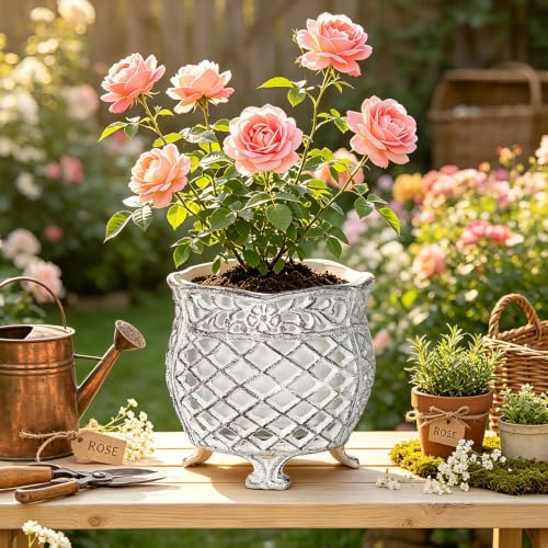 Vintage Cast Iron Urn Planter with Non (Antique White - U Shaped)