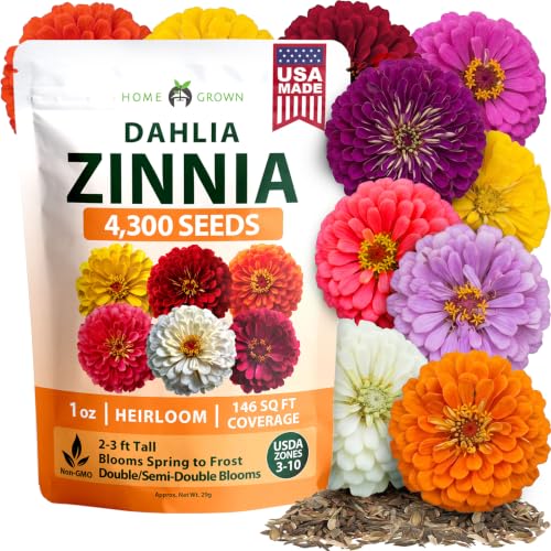 Zinnia Seeds Dahlia Mix