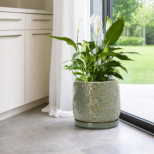 Embossed Leaves Ceramic Planter (8 Inch / Olive)