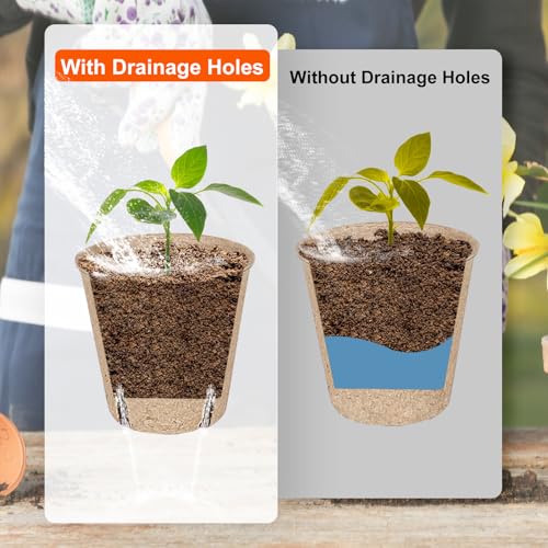 60 Packs 3.15 Inch Peat Pots (60 Count)
