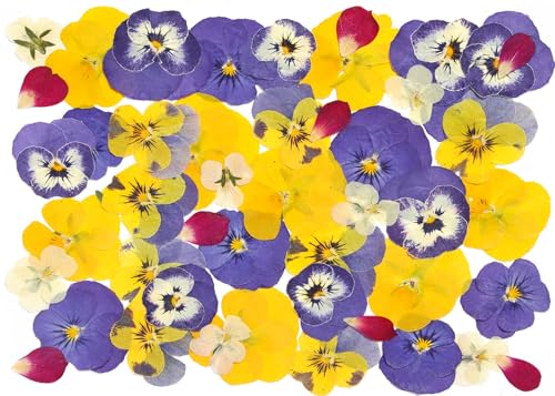 48 Pcs Mix Natural Dried Flowers for Cake Decorating (48 Count)