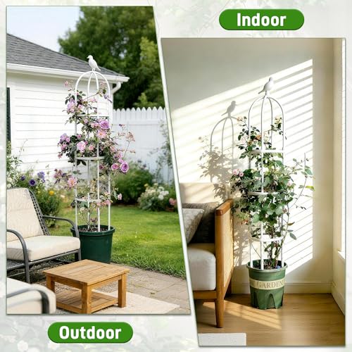2 Pack Trellis for Climbing Planting Outdoor (WHITE / 2 PACK)
