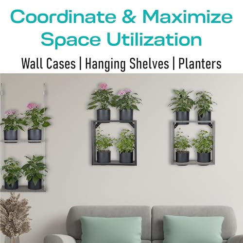 Hanging Planter Line