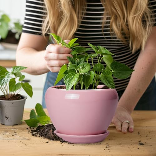 6 Inch Plant Pot (6 Inch / Pink)