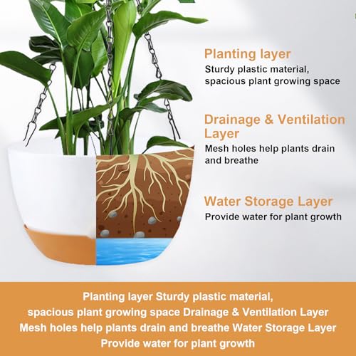 Hanging Planter for Plants Indoor (Multicolor / 8 inch)