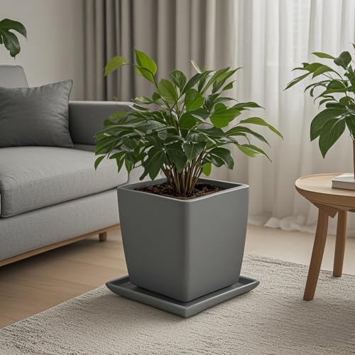 Square Plant Saucer 10 Inch 1 Pack