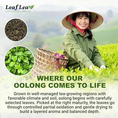Oolong Tea Bags (40 Count (Pack of 2))