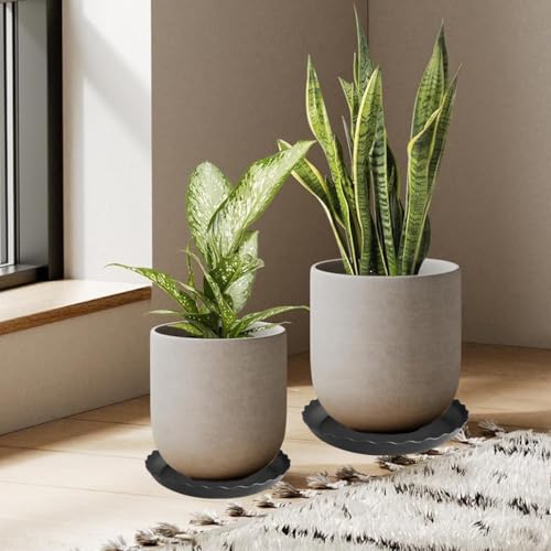 2 Pack of 12 inch Plant Saucer Plant Tray (12" (2 pack) / Black)