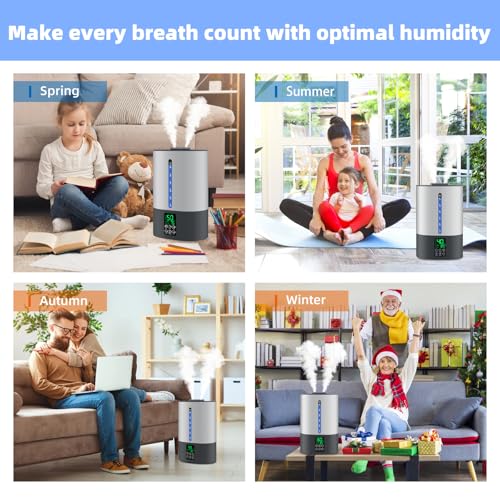 6L Warm & Cool Mist Humidifiers for Bedroom (6l / B-Grey)
