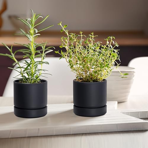 4 Inch Planter Pot with Drainage Hole & Saucer (4" (2 Pack) / Matte Black)