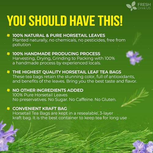 Premium 75 Horsetail Leaf Tea Bags (75 Tea Bags)
