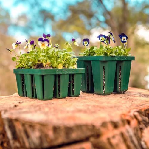 Seedling Starter Kit 4 (Standard)