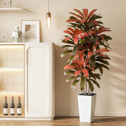 Artificial Dracaena Tree (Burgundy – White Pot / 6FT)