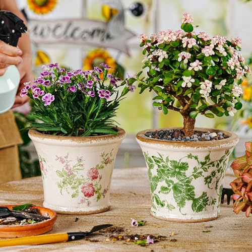 Ceramic Flower Pots (Round - 2pcs - Green & Pink)
