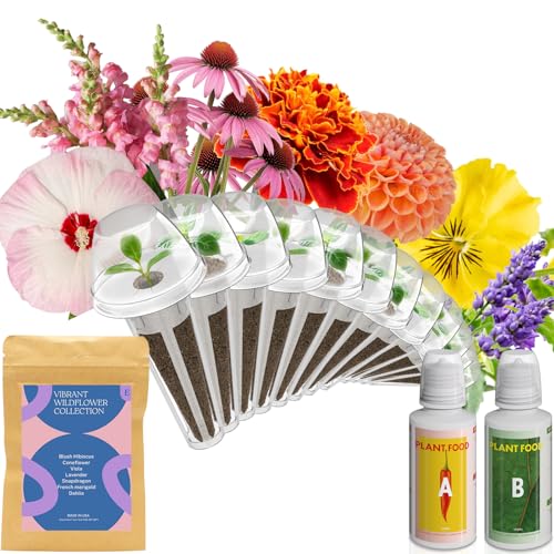 Wild Flower Seed Hydroponic Pod Kit Compatible with Aerogarden (Wild Flower)