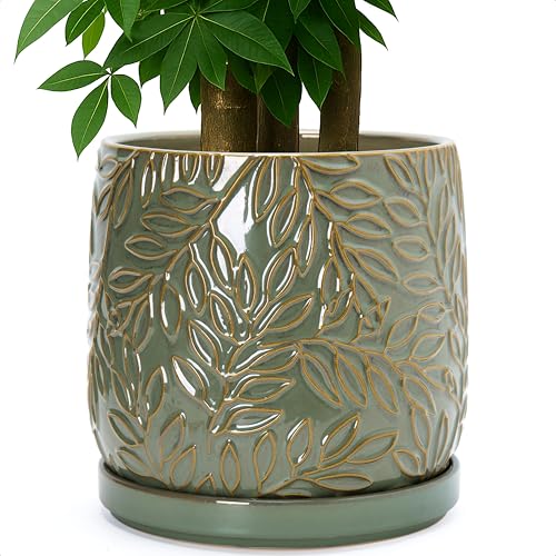 Embossed Leaves Ceramic Planter (10 Inch / Olive)