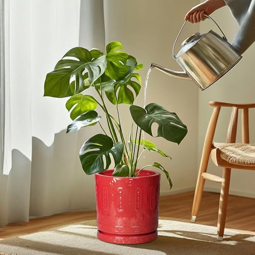 Plant Drip Trays 9.3 Inch (9.3" / Red)