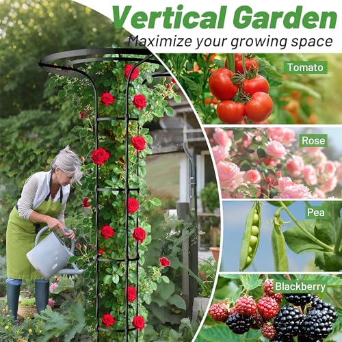 Umbrella Top Garden Trellis for Climbing Plants Outdoor (Extra Tall - 82.7" Height / Umbrella Shape)