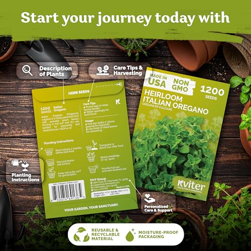 1 200 Italian Oregano Heirloom Herb Seeds for Planting