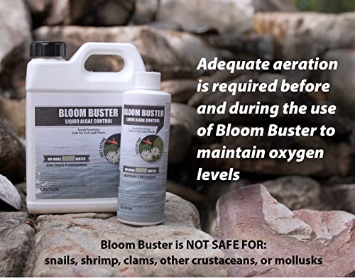 Bloom Buster Algae Control for Fish Ponds & Water Gardens (8 Pound)