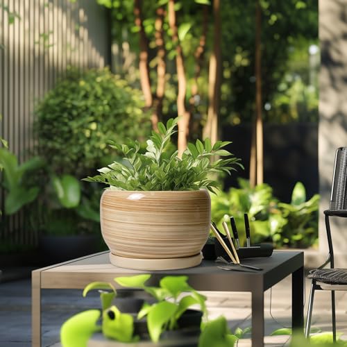 Ceramic Plant Pot